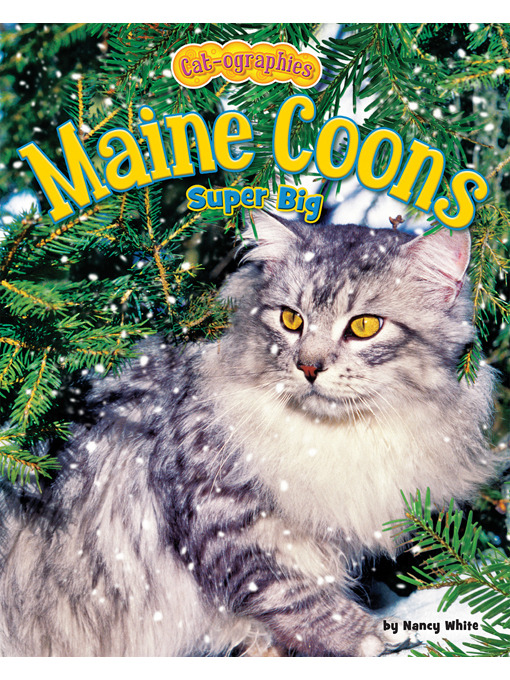 Kápumynd af Maine Coons